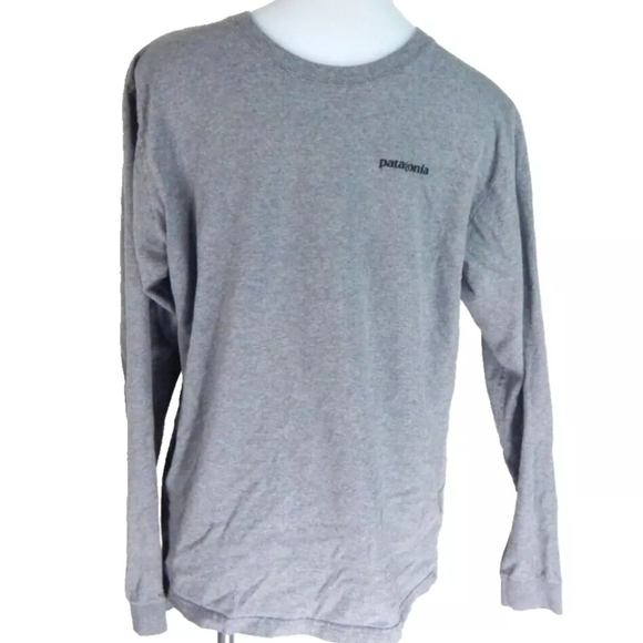 Patagonia P-6 Logo Responsibili-Tee - Picture 1 of 4